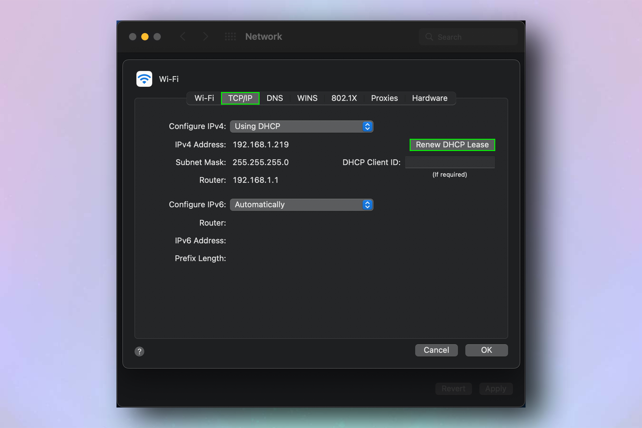 A screenshot demonstrating how to change IP address on a Mac