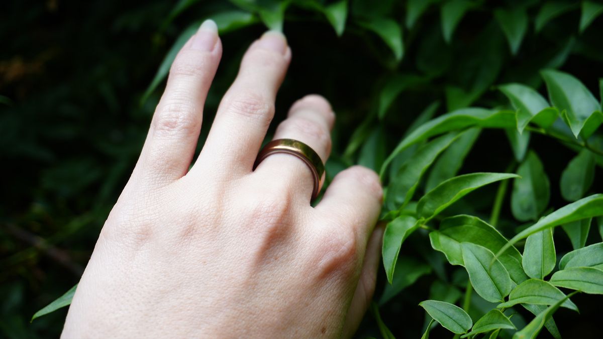 A hand wearing the Oura Ring 5 against some leaves