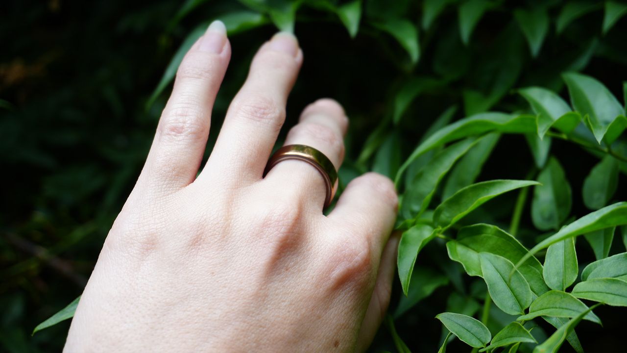 A hand wearing the Oura Ring 5 against some leaves