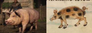 left: round, modern pig in AssCreed Valhalla, right: illustration of 14th c. pig