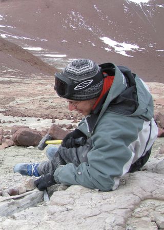 Digging for fossils in Antarctica