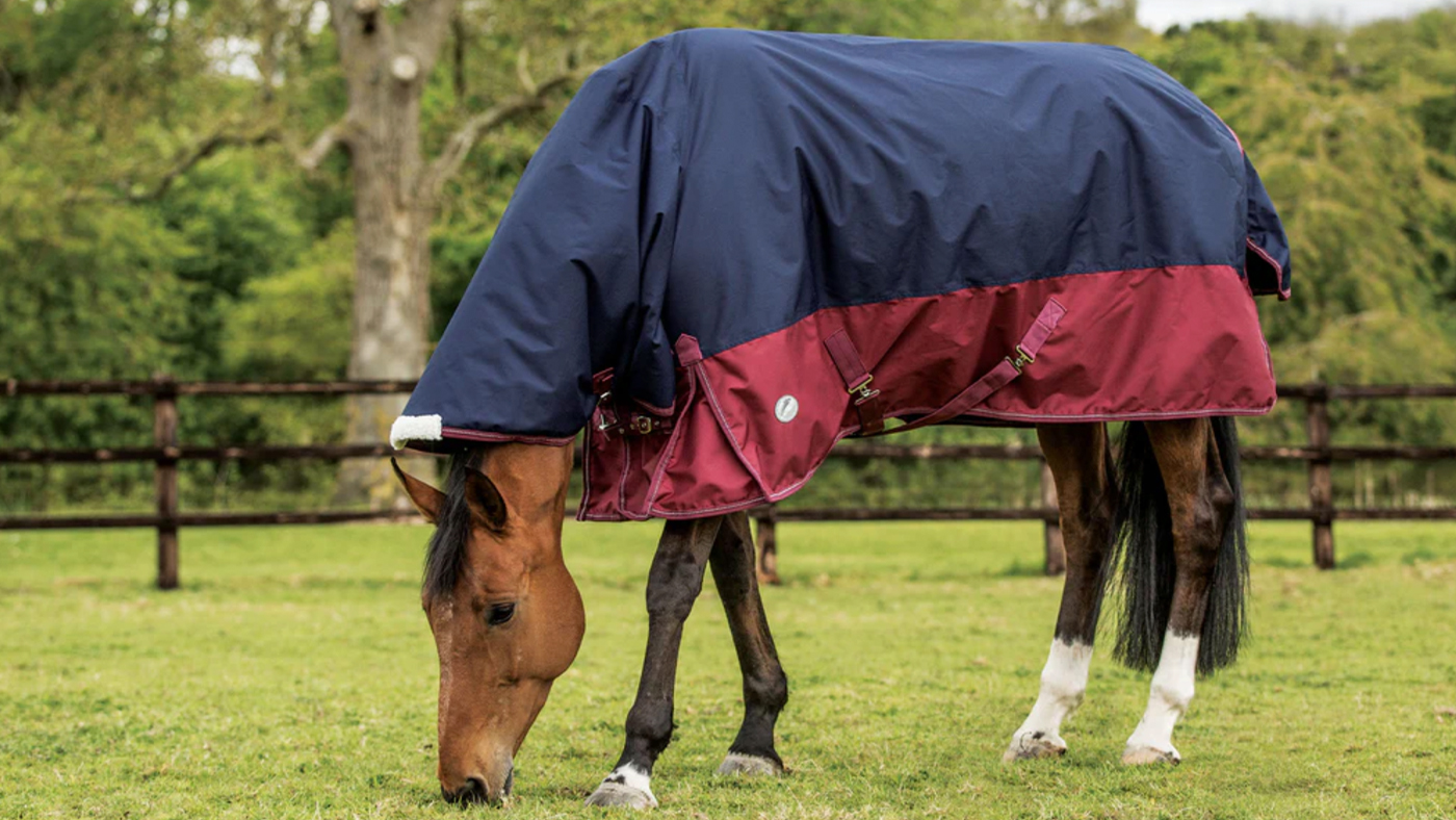 Mark Todd Mediumweight Turnout Rug