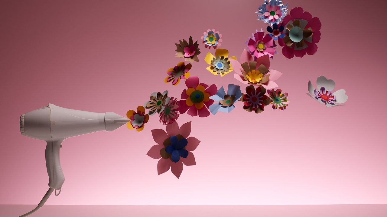 hair dryer with flowers - amazon prime day