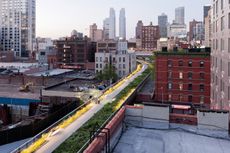 Wildflower Field, looking North toward West 29th Street