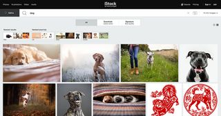 Typing broad terms such as 'dog' into iStock returns almost 780,000 images