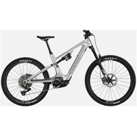 Canyon Spectral:ON CF 9: £7,149
