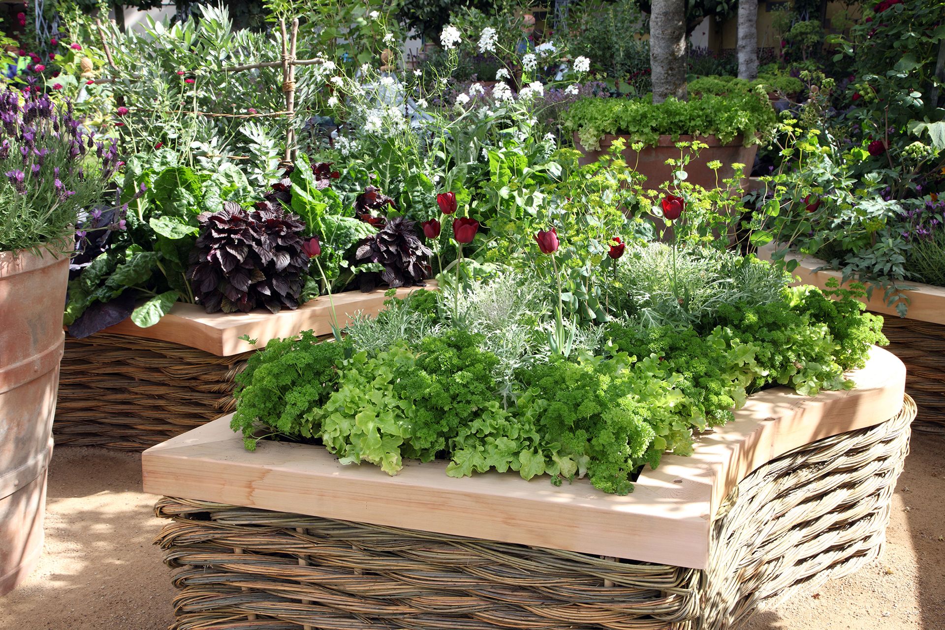 raised bed kitchen garden