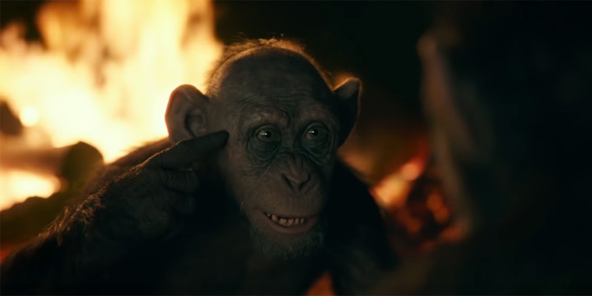 Bad Ape