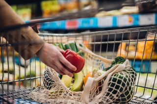 Vegan diet: shopping cart with vegetables