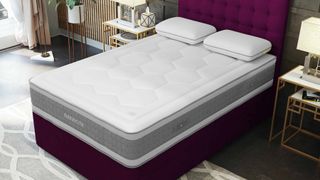 mammoth shine essential mattress