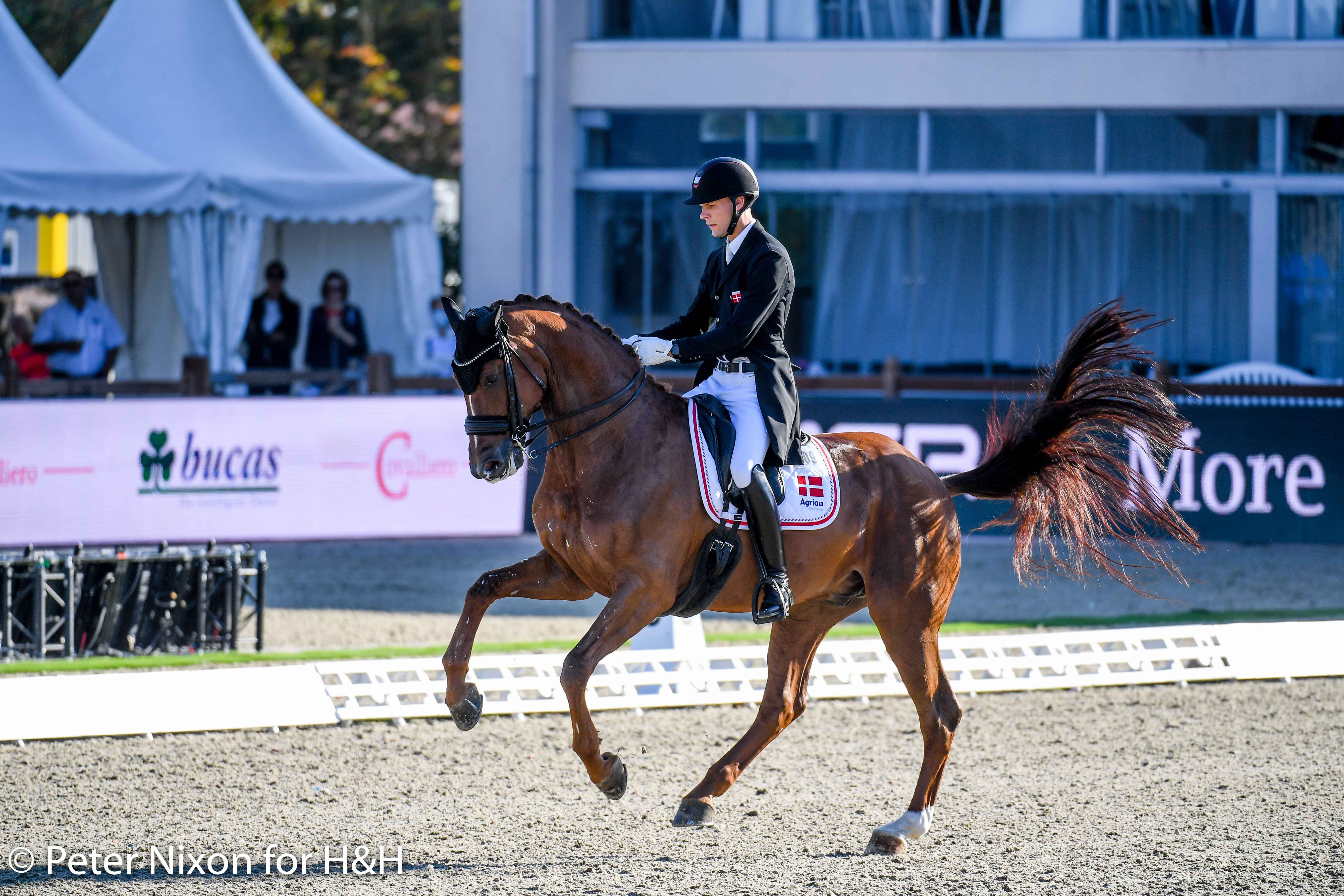 Daniel Bachmann Andersen (DEN) riding Marshall-Bell during the Grand Prix - Team Competition of the Dressage European Championship held at Hagen A.T.W near Osnabr&amp;uuml;ck in Germany between the 7-12th September 2021