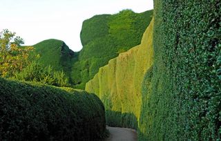 Powis Castle - ©Val Corbett/Country Life Picture Library