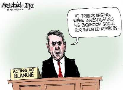 Political Cartoon