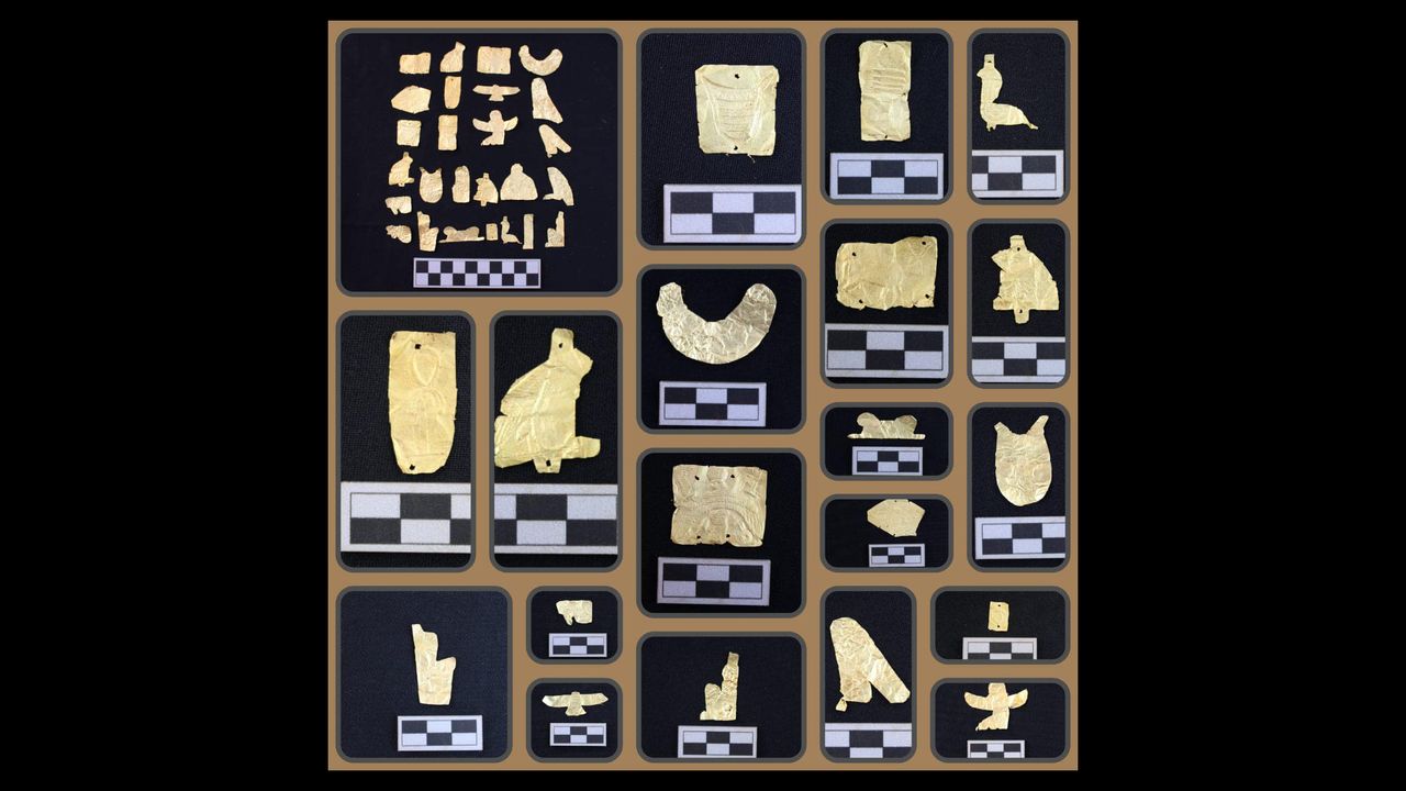 Gold grave goods in the shape of Egyptian deities, seen here, were found on the deceased. At this time, the ancient Egyptians believed that the gods had flesh of gold.