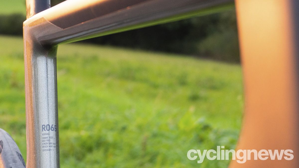 Canyon Aeroad CFR 2021