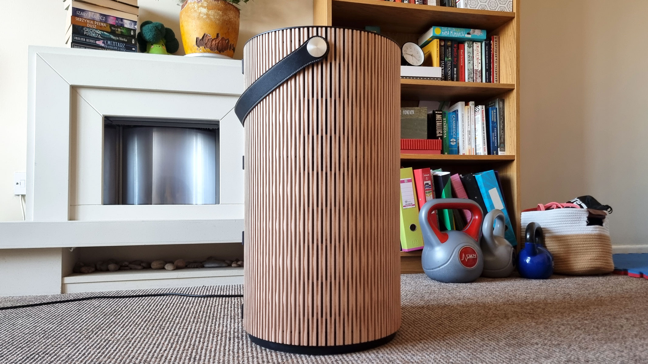 A picture of our reviewer's IQAir Atem Earth air purifier standing in the middle of a living room