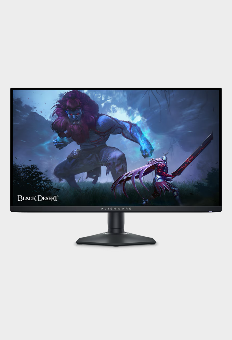 A gaming monitor with Black Desert displayed