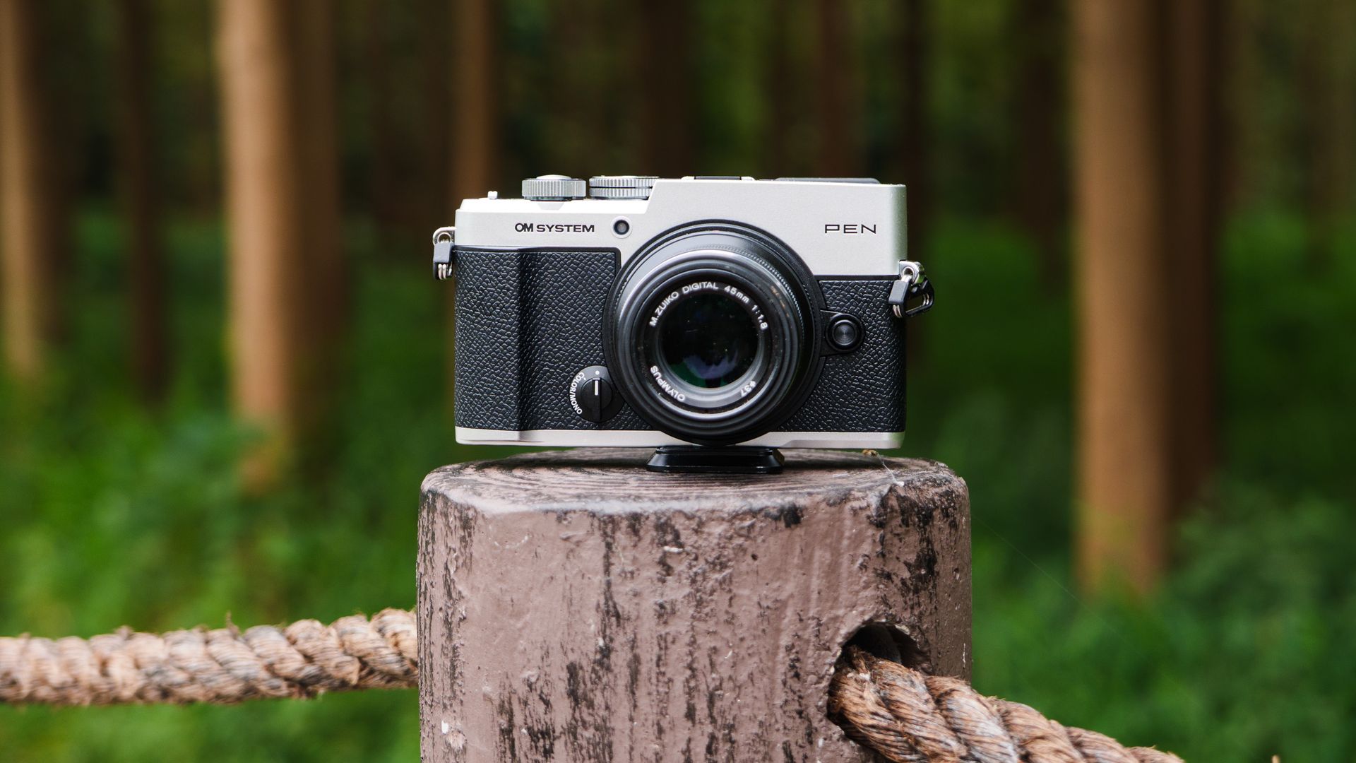 OM System PEN mirrorless camera on a wooden post on the edge of a forest in a nature reserve