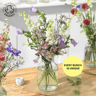 The 100% Organic Flowers