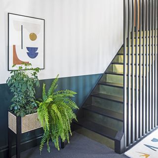 staircase with white wall and plants