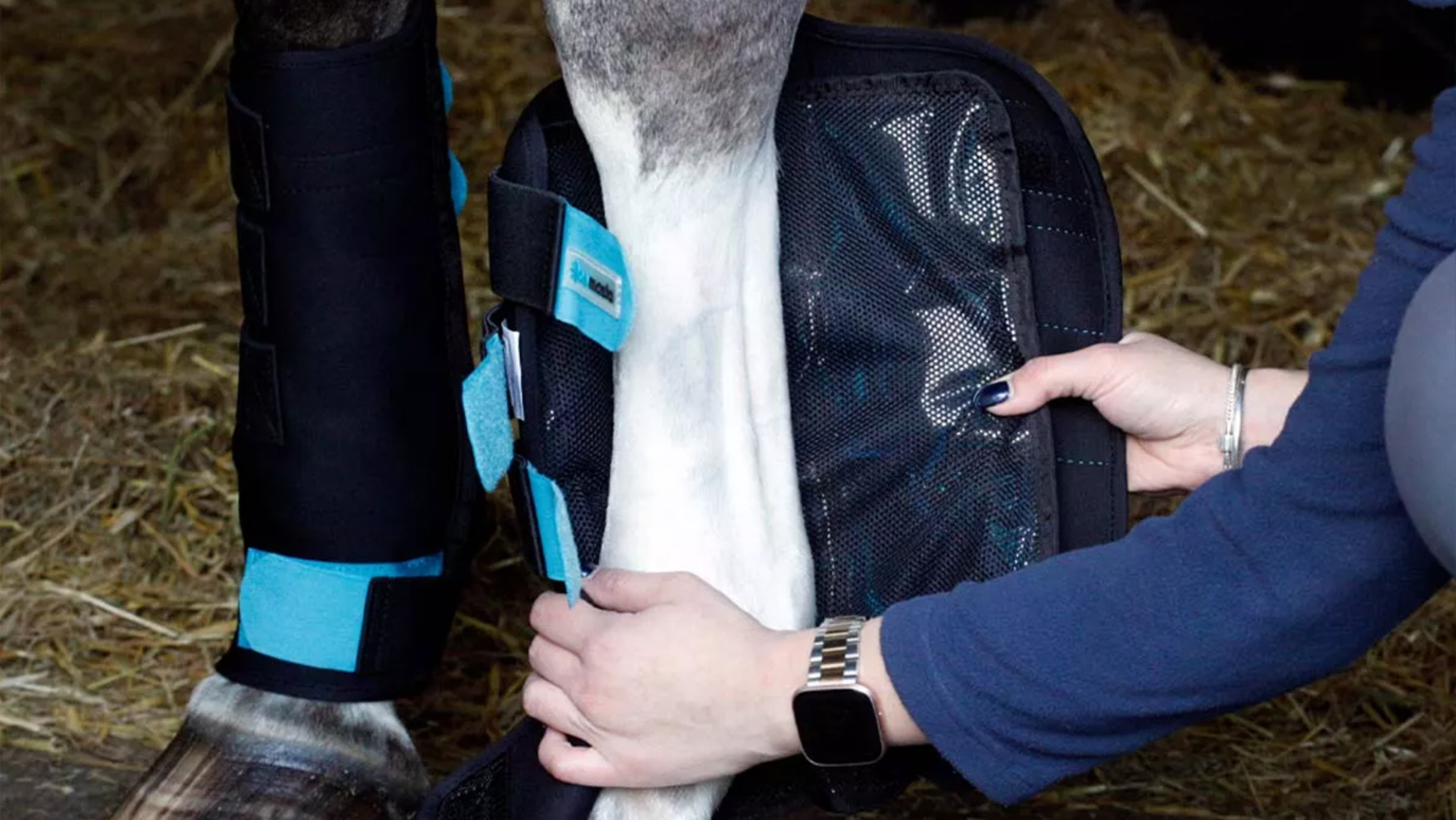 Close up of ice boots being applied to horse&rsquo;s leg
