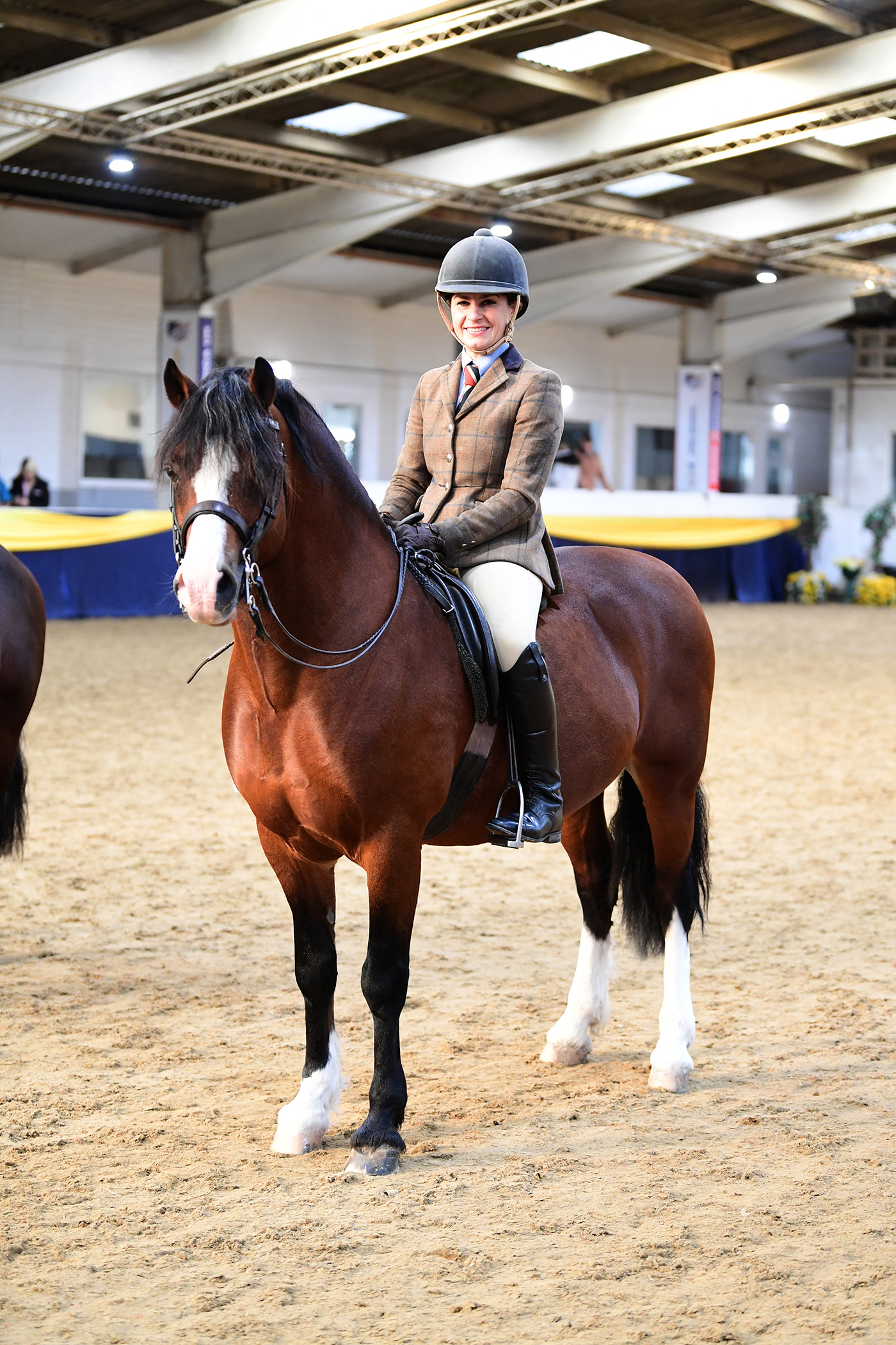 Heritage Show 15.10.2379040