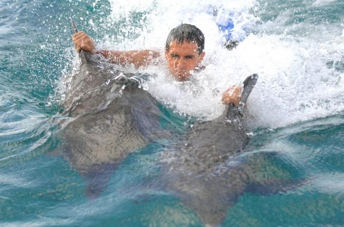 Alberto Contador clings on to his dolphins