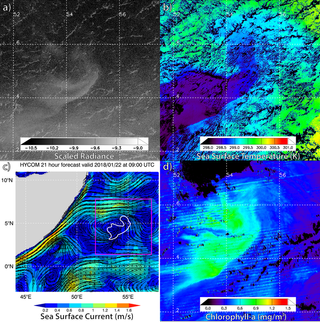 Researchers found a milky sea event off the coast of Somalia, seen here as a pale swoosh in the top left image. The other panels show sea surface temperature, ocean currents and chlorophyll.