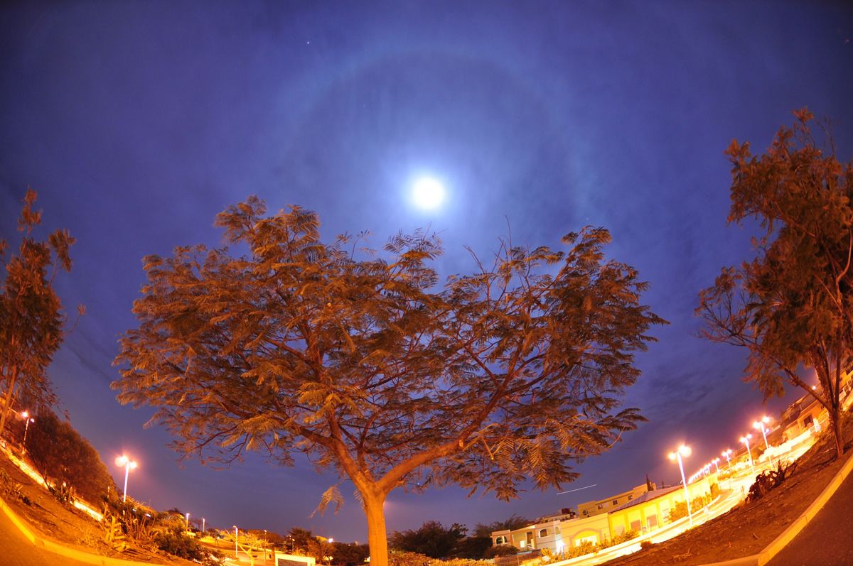 Mars and the Moon Meet Up in Twilight Sky Tonight | Space