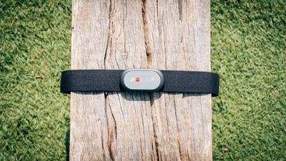 The Polar H9 Heart Rate Monitor on a piece of wood showing product details