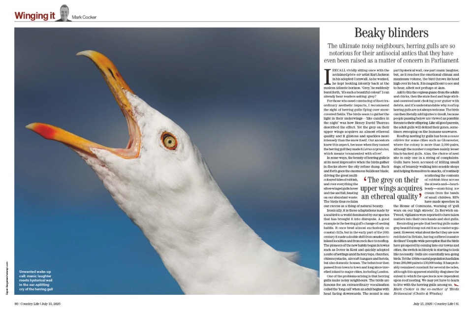 Spread from Country Life July 15, 2026
