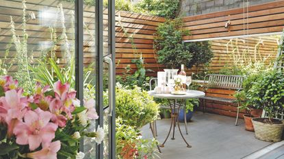 garden with window on red brick wall