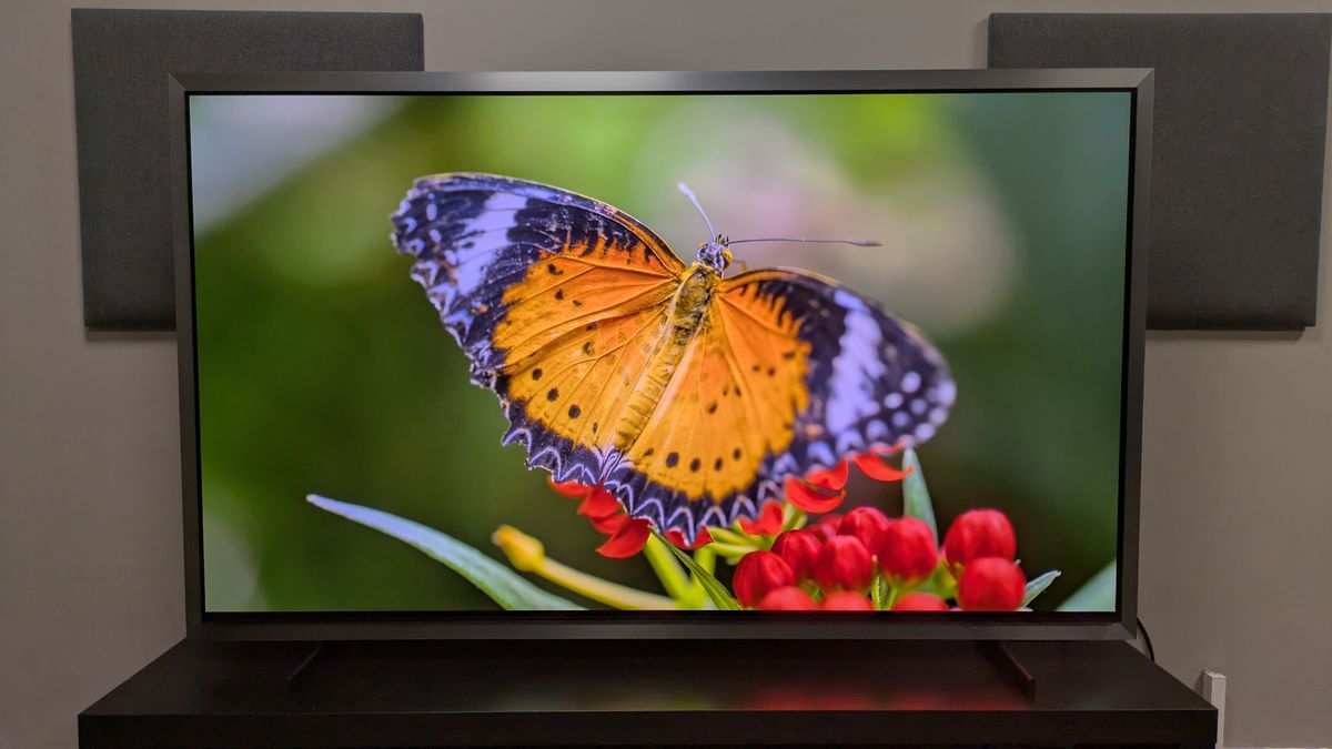 Samsung S99H with an orange butterfly on screen. The S99H shows bold and punchy colors, particularly the oranges