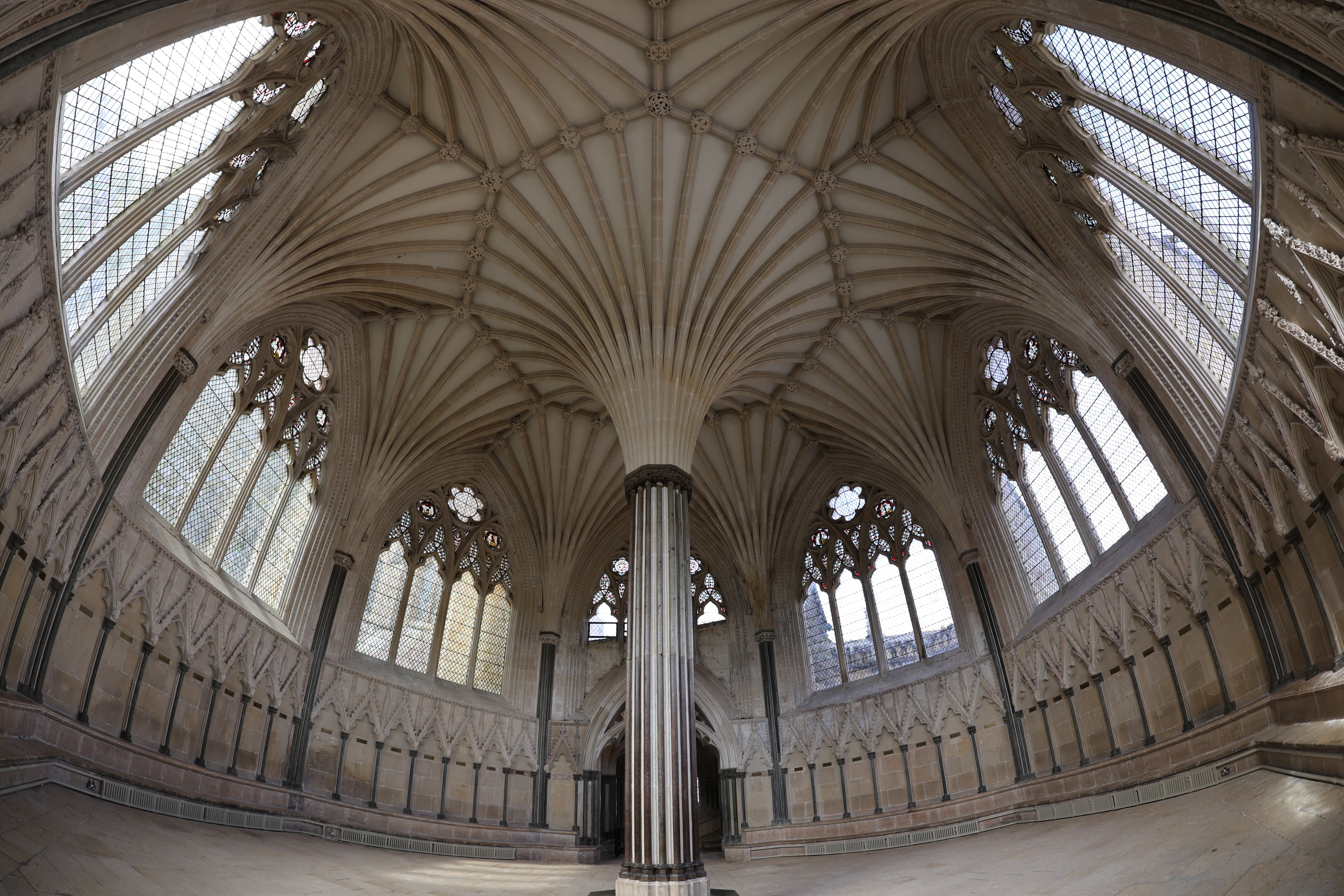 Canon RF 7-14mm f/2.8-3.5L Fisheye STM sample image