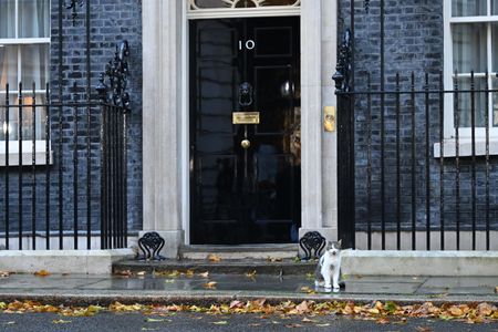 The view outside 10 Downing Street.