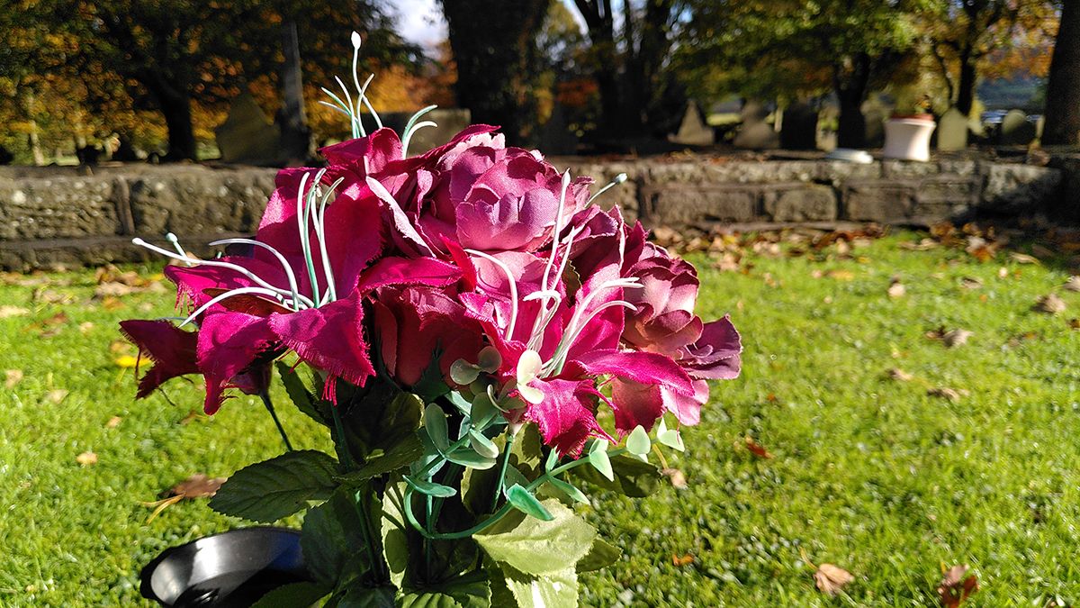 Fairphone 3 camera sample