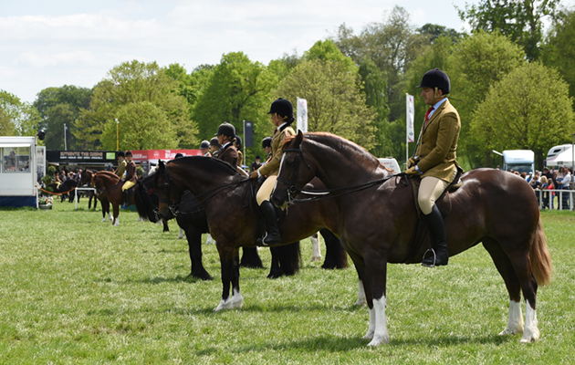 Native-line-up-BSPS_RWHS16pn_6216.jpg
