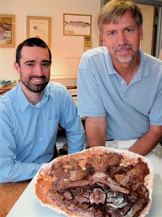 Jason Downs (left) and Ted Daeschler with the fossil skull of Laccognathus embryi, a large predatory fish that lived 375 million years ago.