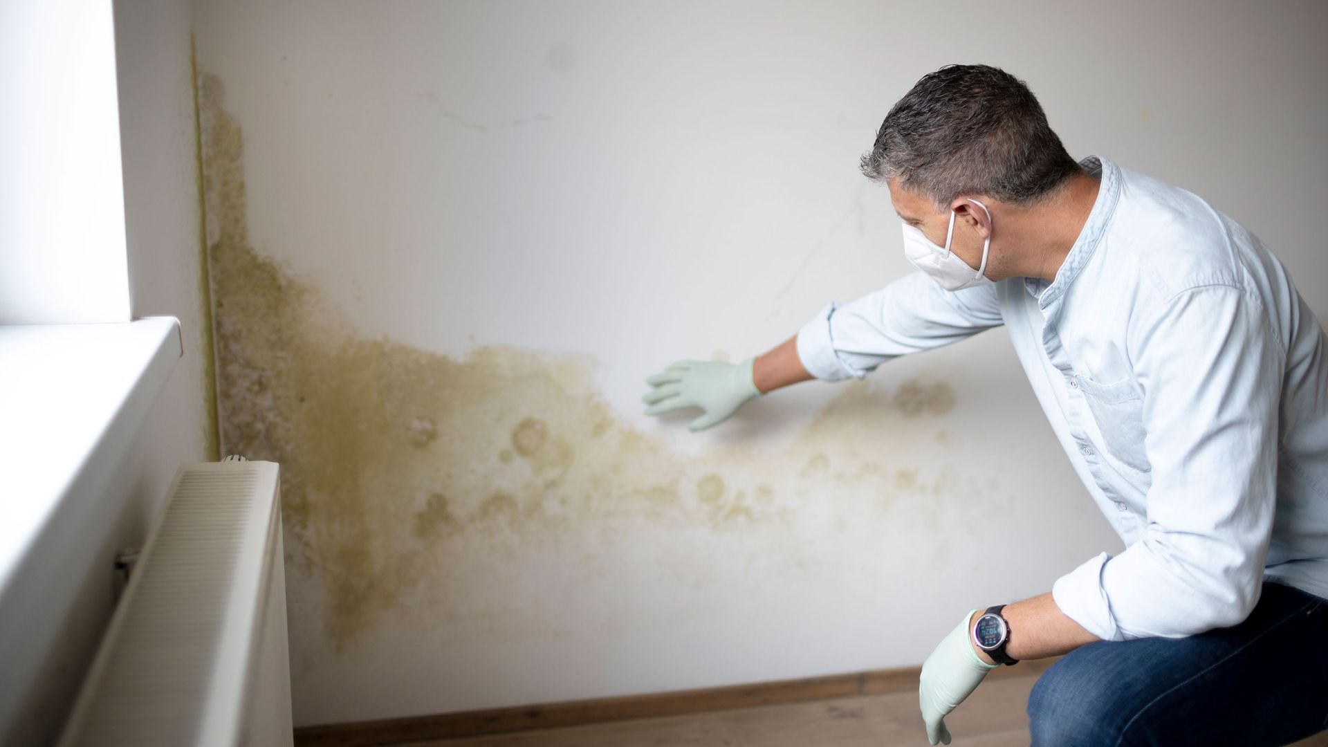 How to get rid of damp in your home for good Homebuilding