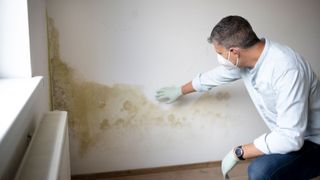 man inspecting damp on wall