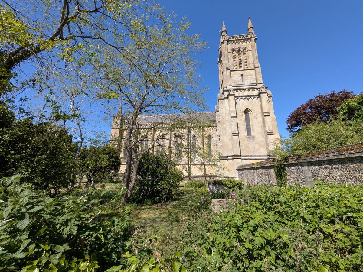 pixel 10 vs nothing phone 4a pro ultrawide images