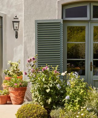 home exterior with sage green door and shutters, lush flowers in the garden