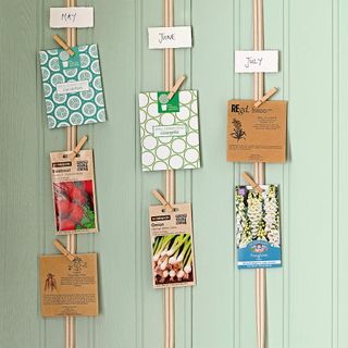 plant seed packets on green wall