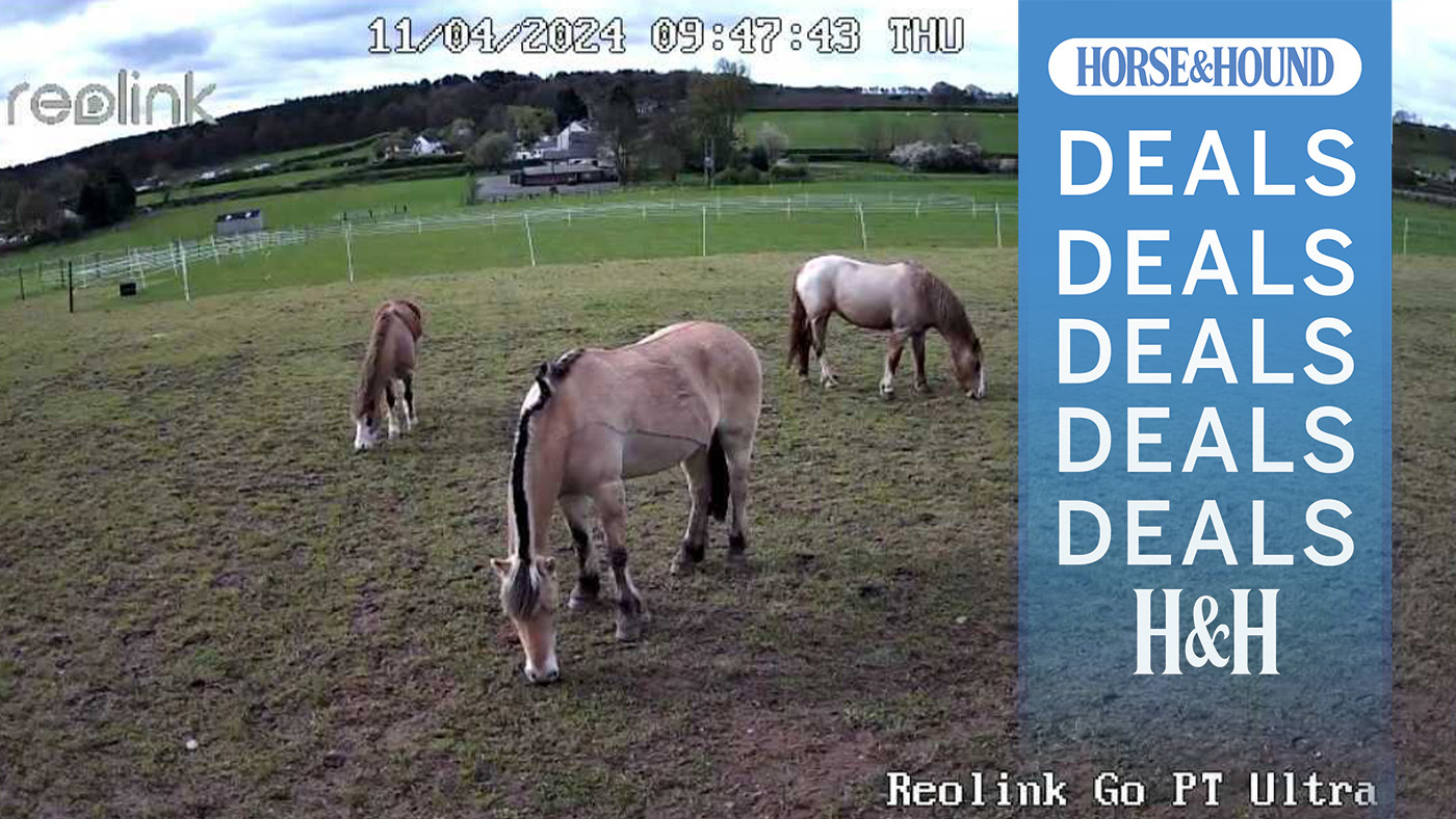 Screenshot from Reolink camera with H&amp;amp;H deals graphic