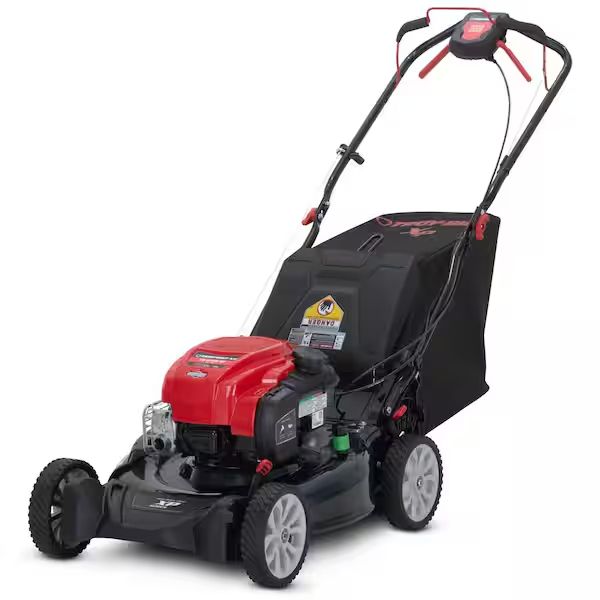 Best gas lawn mowers in 2024 chosen by experts Top Ten Reviews