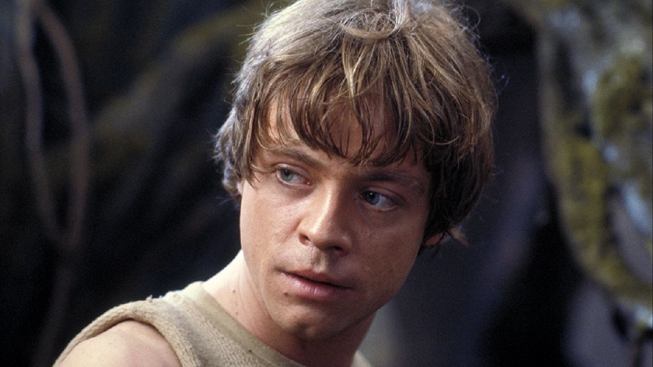 Mark Hamill (September 25, 1951) American actor, o.a. known from the Star  Wars movies as Luke Skywalker.