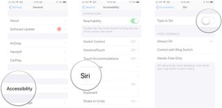 Launch Settings, tap General, tap Accessibility, tap Siri, tap the switch next to Type to Siri