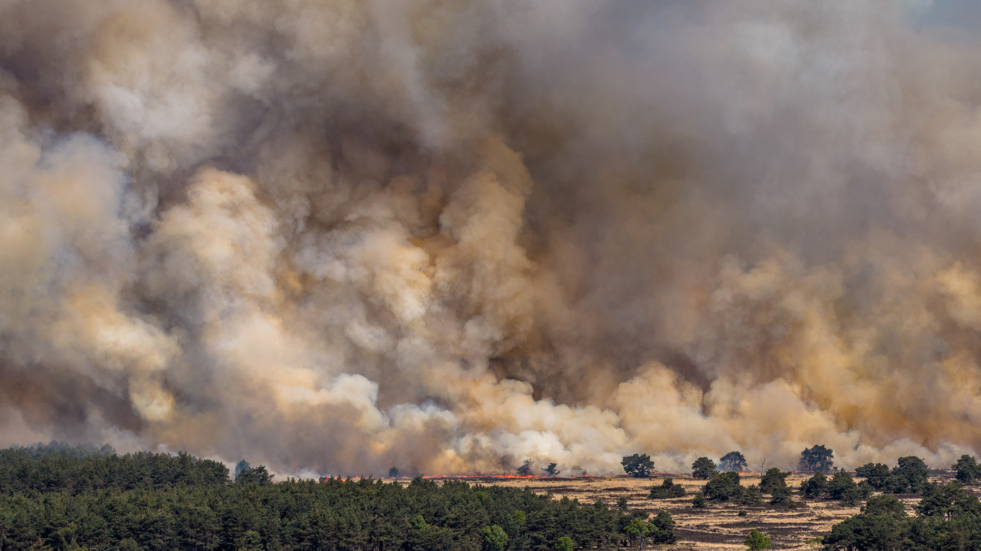 A wall of smoke rises as wildfire spreads across a military training ground near Veluwe in the Netherlands