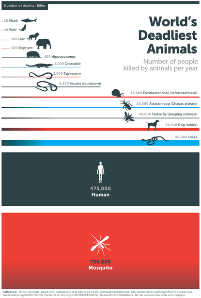 Man is only the second deadliest animal