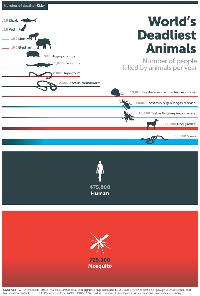 Man is only the second deadliest animal